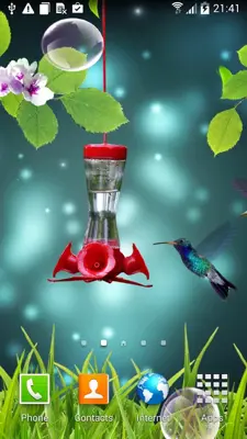 Hummingbirds live wallpaper android App screenshot 2