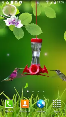 Hummingbirds live wallpaper android App screenshot 4